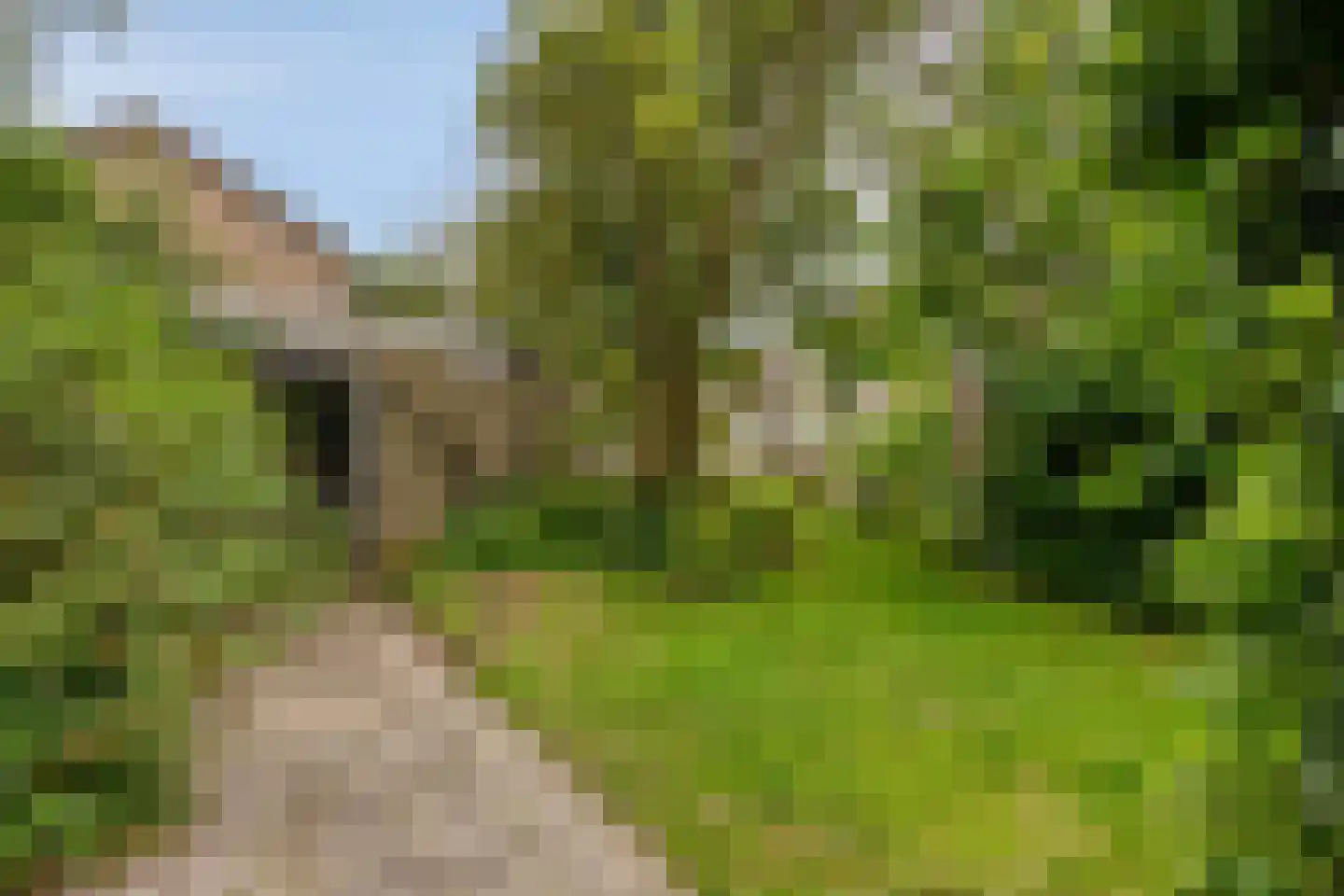 Meidoornlaan 13 Glimmen thumbnail 39