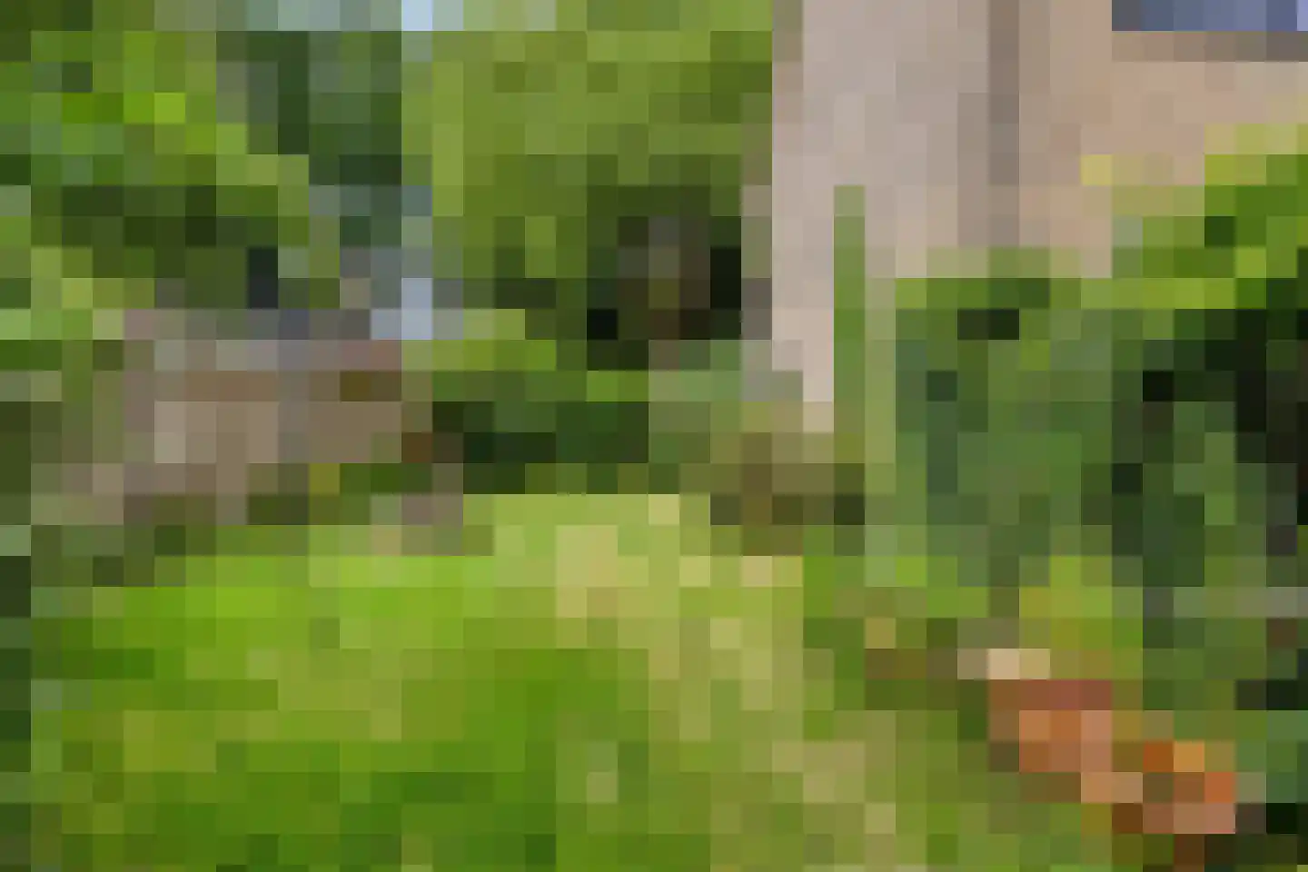 Meidoornlaan 13 Glimmen thumbnail 41