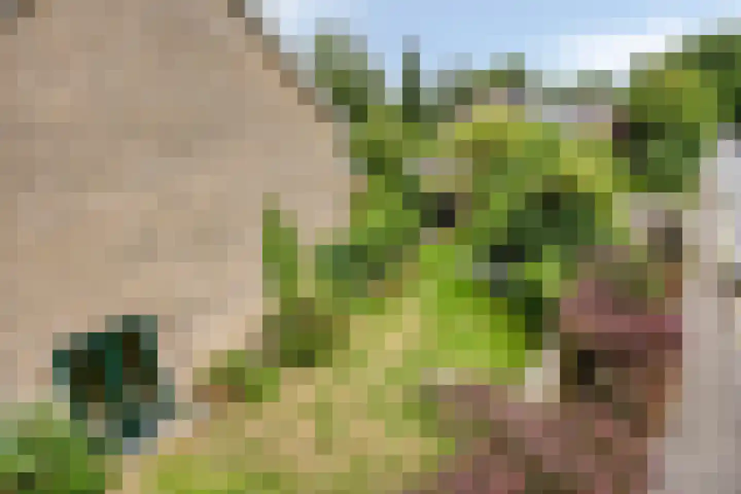 Meidoornlaan 13 Glimmen thumbnail 46