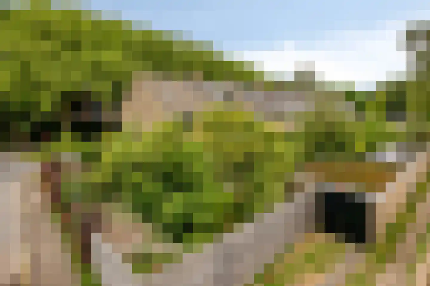 Meidoornlaan 13 Glimmen thumbnail 47