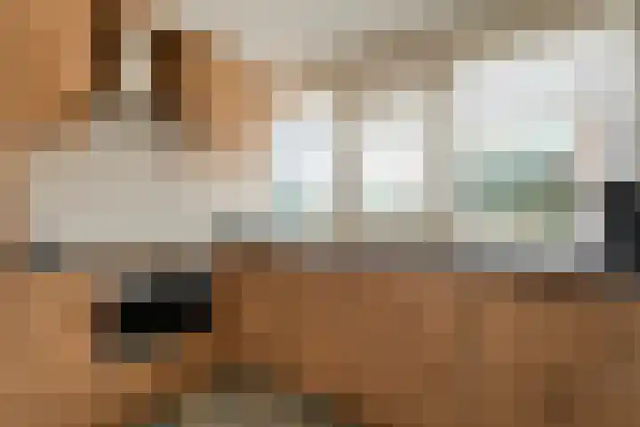 Meidoornlaan 13 Havelte thumbnail 11