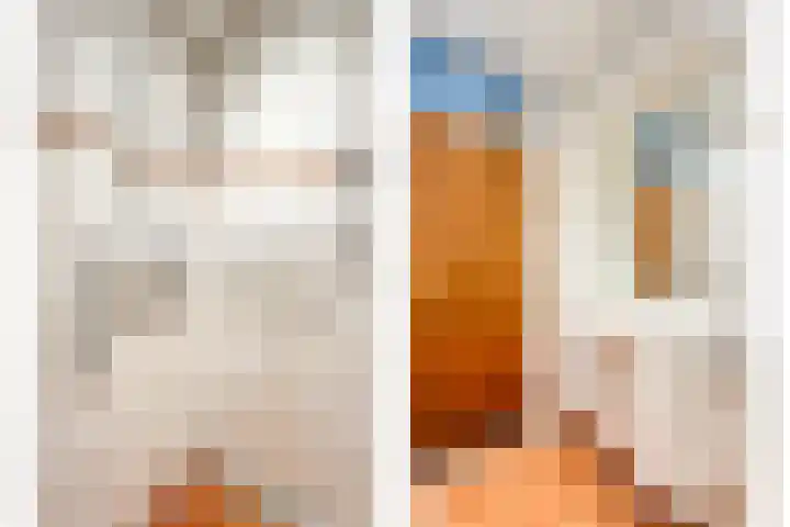 Meidoornlaan 13 Havelte thumbnail 18