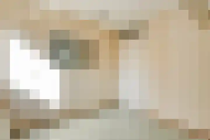 Meidoornlaan 13 Havelte thumbnail 27