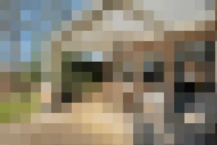 Meidoornlaan 13 Havelte thumbnail 32
