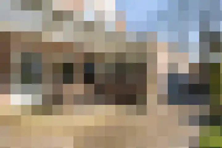Meidoornlaan 13 Havelte thumbnail 33