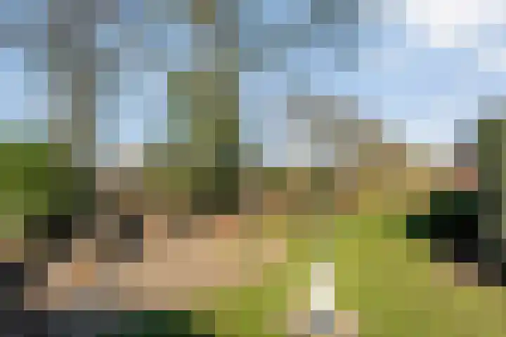 Meidoornlaan 13 Havelte thumbnail 35