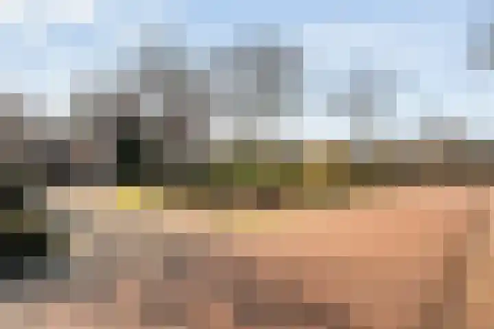 Meidoornlaan 13 Havelte thumbnail 36