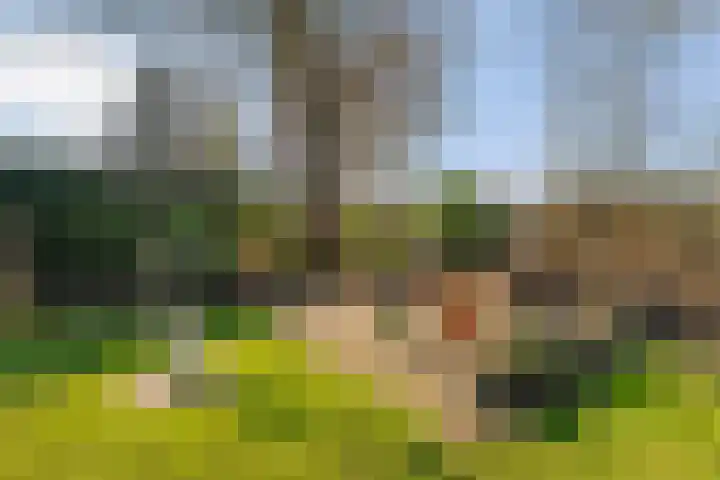 Meidoornlaan 13 Havelte thumbnail 38