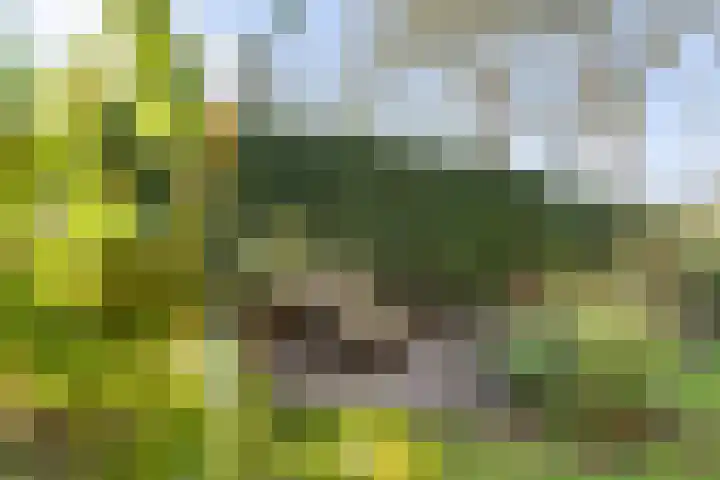 Meidoornlaan 13 Havelte thumbnail 39