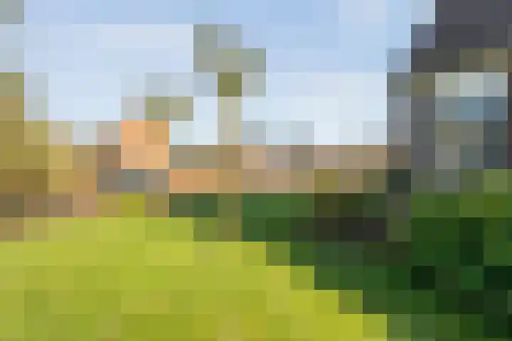 Meidoornlaan 13 Havelte thumbnail 40