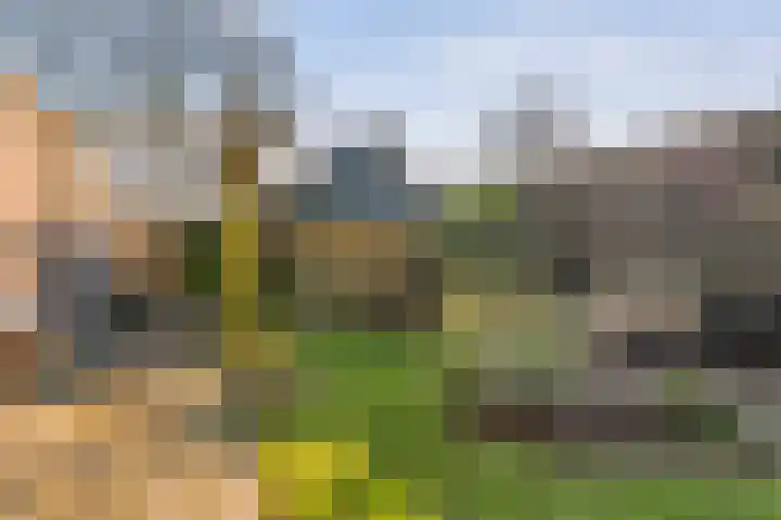 Meidoornlaan 13 Havelte thumbnail 41