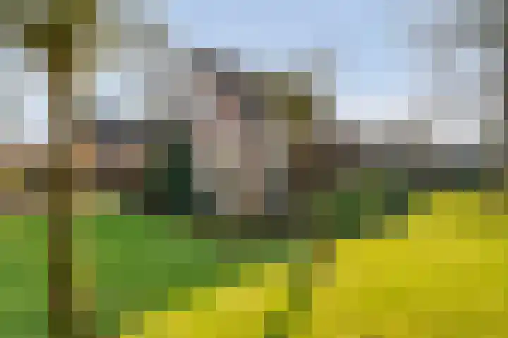 Meidoornlaan 13 Havelte thumbnail 44