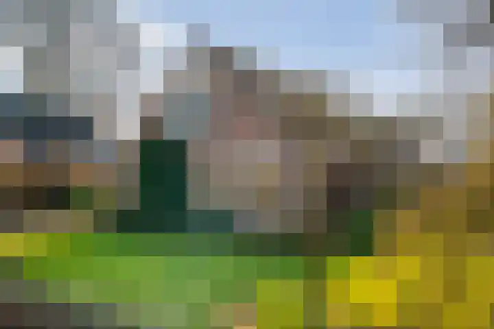 Meidoornlaan 13 Havelte thumbnail 45