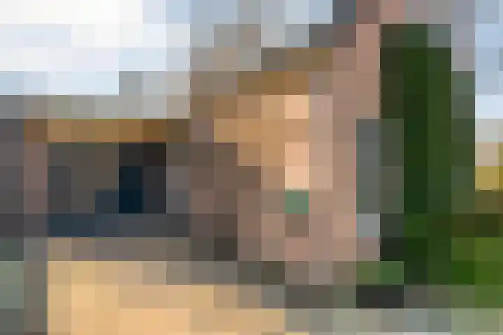 Meidoornlaan 13 Havelte thumbnail 46