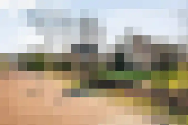 Meidoornlaan 13 Havelte thumbnail 50