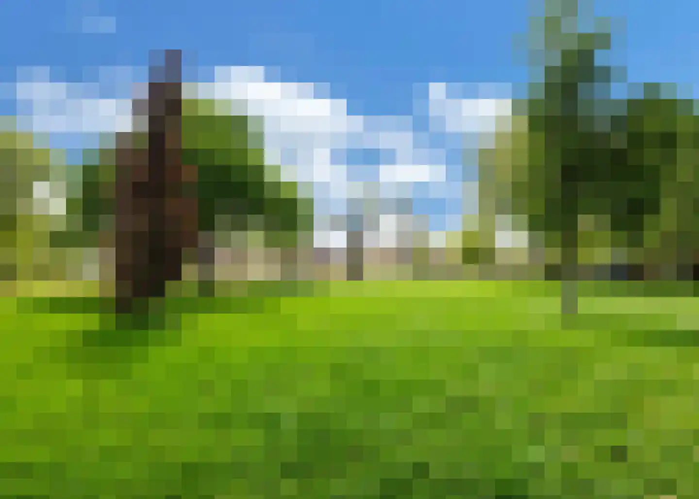 Meidoornlaan 13 Heerhugowaard thumbnail 31