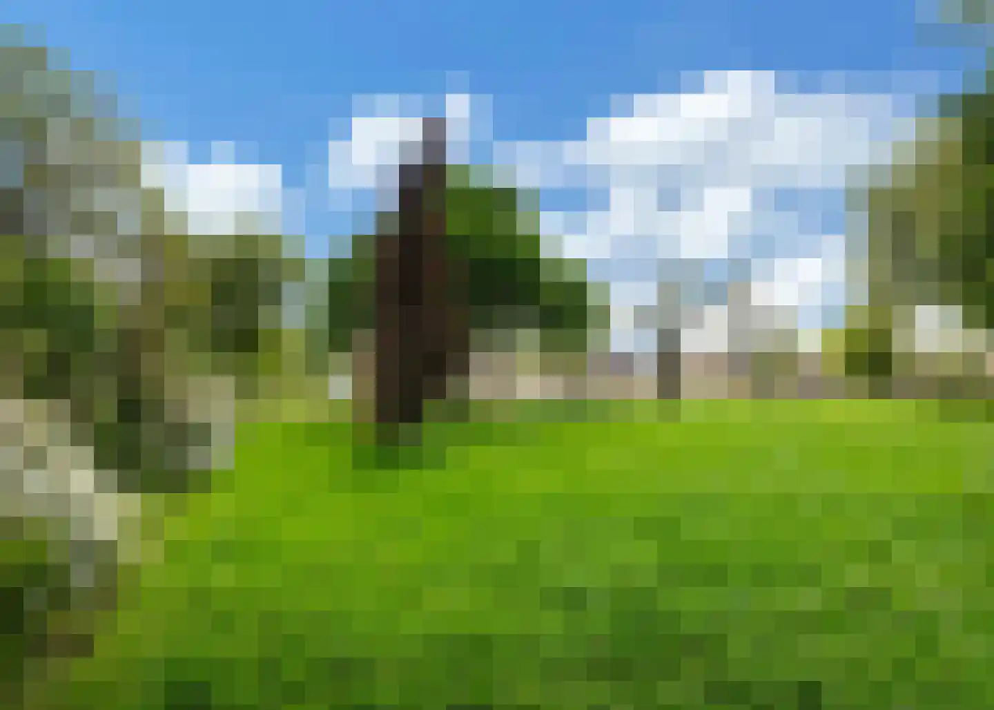 Meidoornlaan 13 Heerhugowaard thumbnail 32