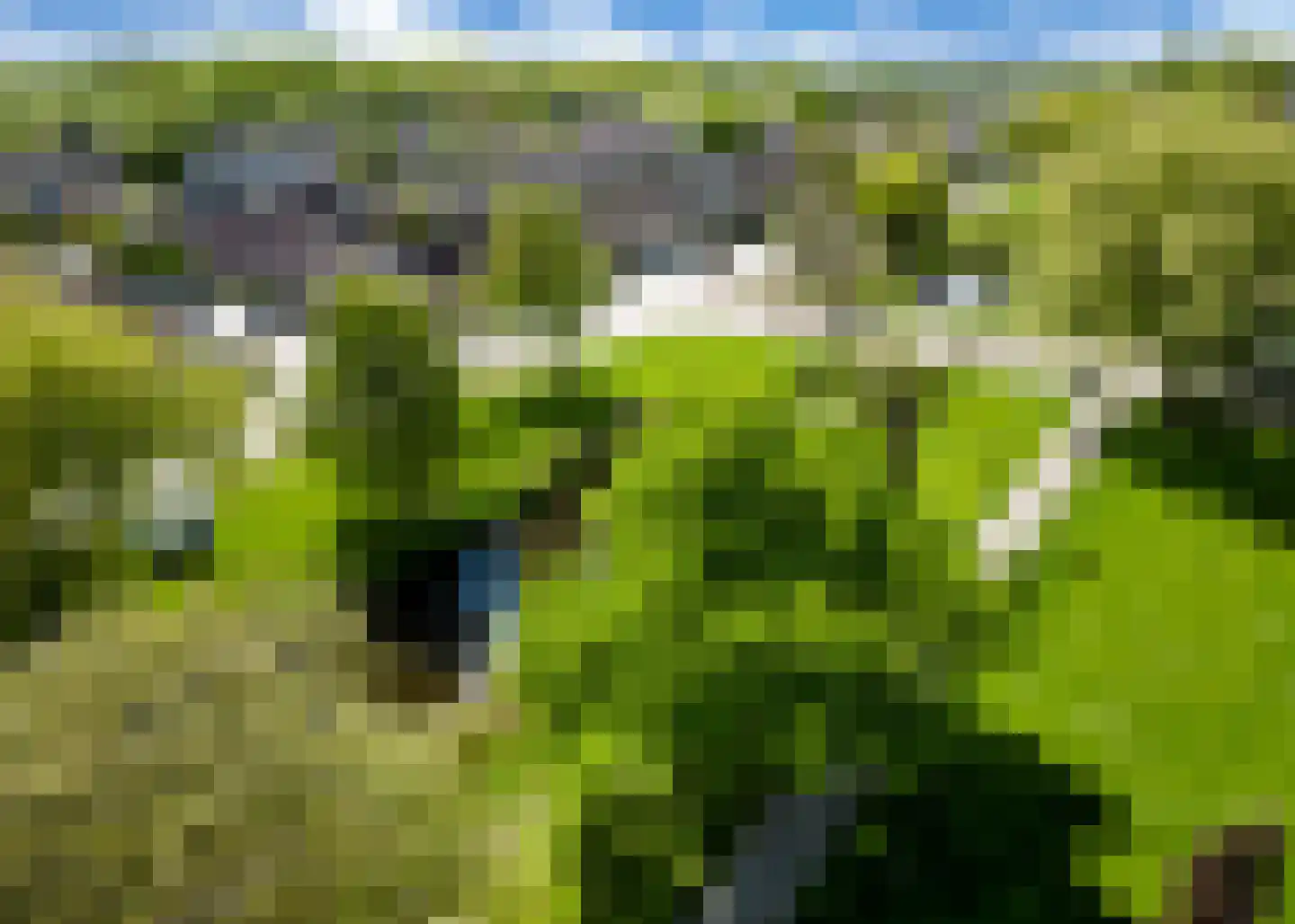 Meidoornlaan 13 Heerhugowaard thumbnail 35
