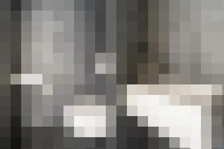 Meidoornlaan 139 Pijnacker thumbnail 18