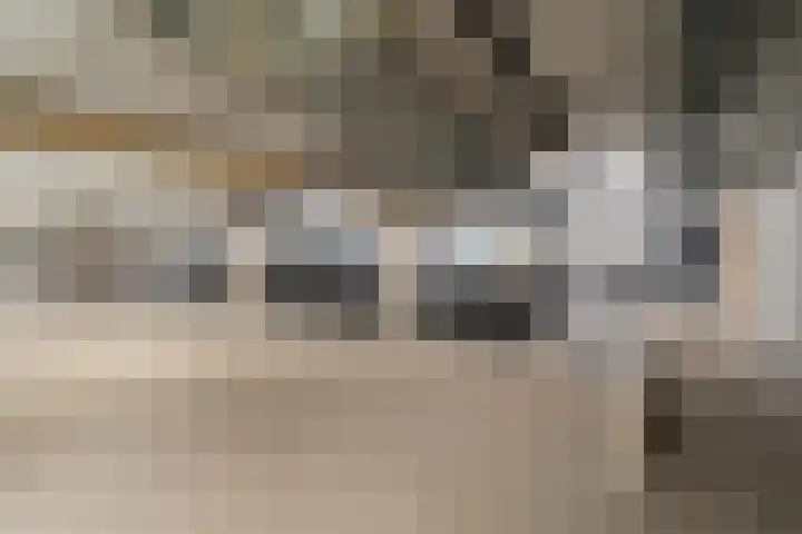 Meidoornlaan 139 Pijnacker thumbnail 23