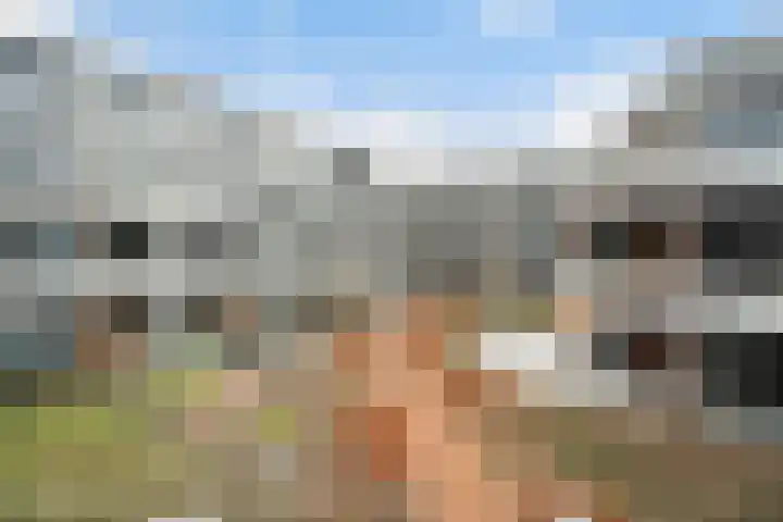 Meidoornlaan 139 Pijnacker thumbnail 24