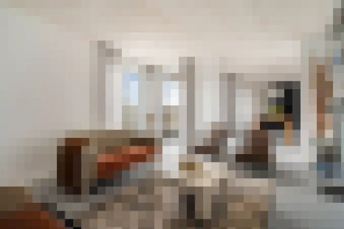 Meidoornlaan 139 Pijnacker thumbnail 4