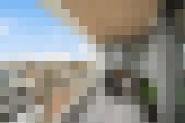 Meidoornlaan 139 Pijnacker thumbnail 5