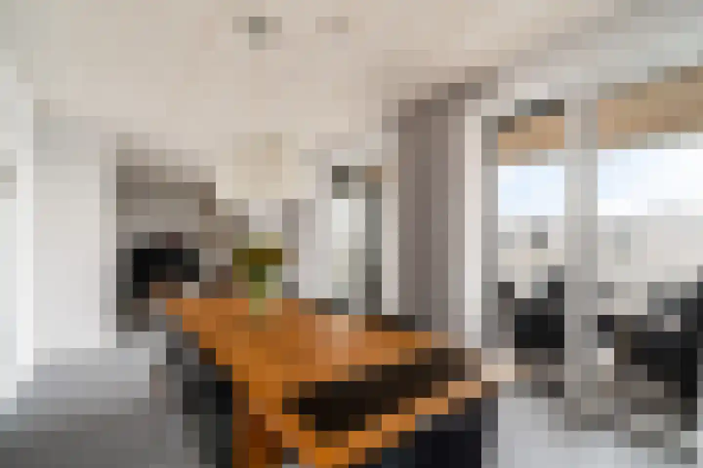 Meidoornlaan 139 Pijnacker thumbnail 7