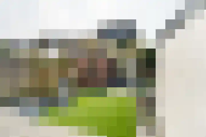 Meidoornlaan 14 Nijkerk thumbnail 28