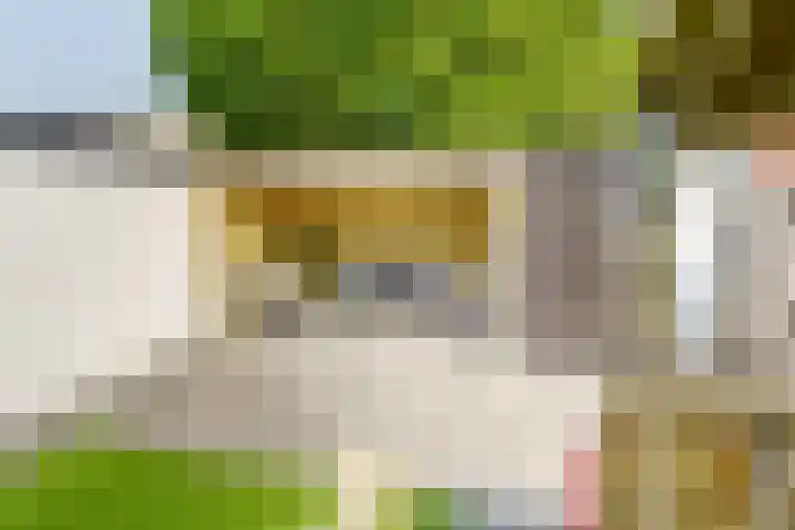 Meidoornlaan 14 Nijkerk thumbnail 29