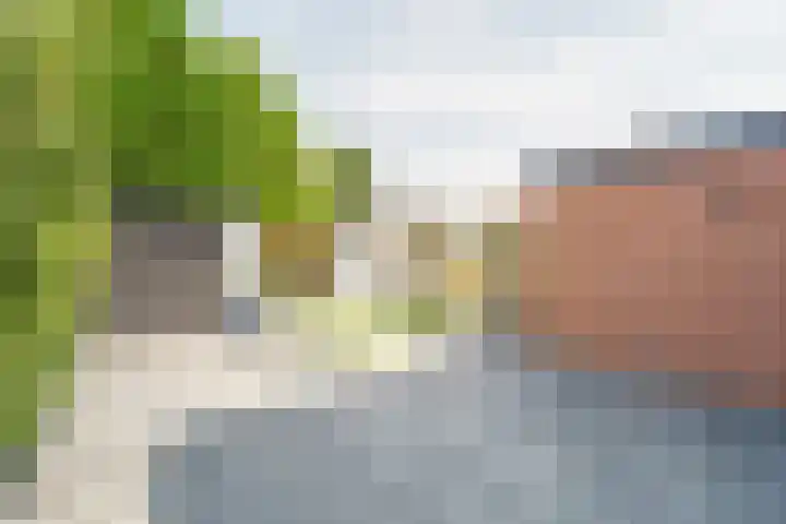 Meidoornlaan 14 Nijkerk thumbnail 30