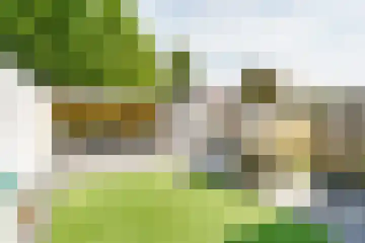Meidoornlaan 14 Nijkerk thumbnail 31