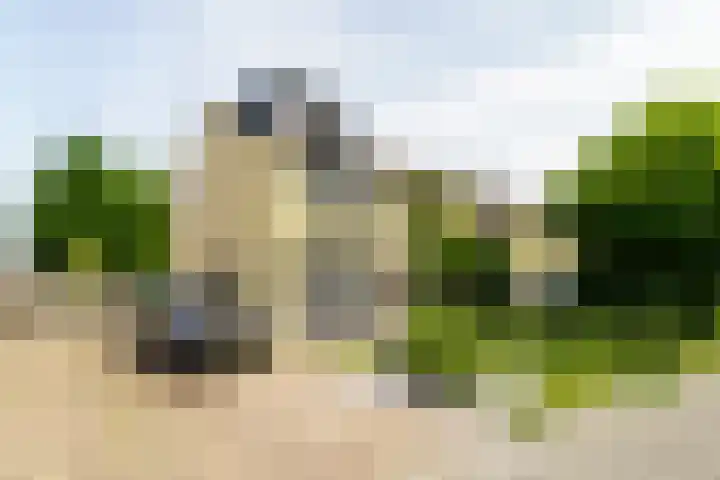 Meidoornlaan 14 Nijkerk thumbnail 32