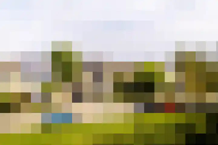 Meidoornlaan 14 Nijkerk thumbnail 34