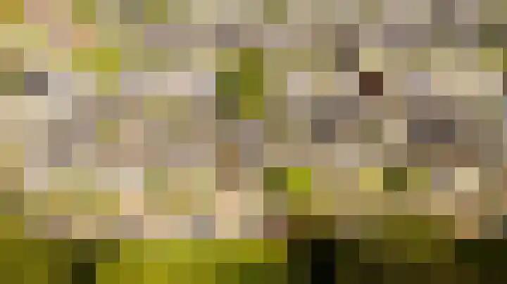 Meidoornlaan 14 Nijkerk thumbnail 36