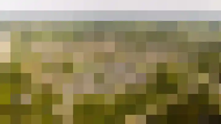 Meidoornlaan 14 Nijkerk thumbnail 37