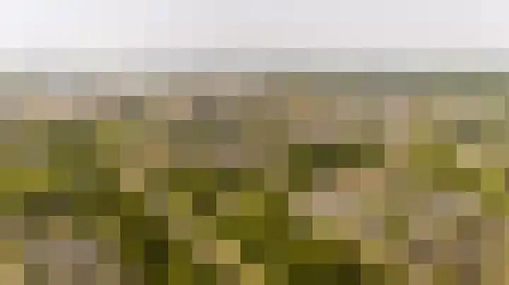 Meidoornlaan 14 Nijkerk thumbnail 38