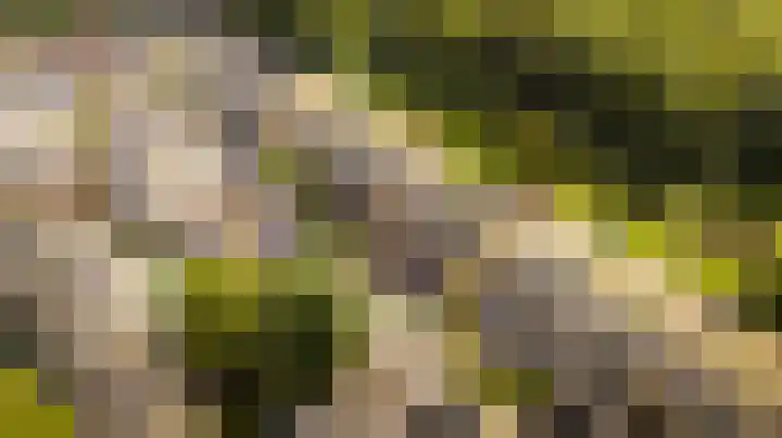 Meidoornlaan 14 Nijkerk thumbnail 39