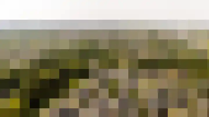 Meidoornlaan 14 Nijkerk thumbnail 40