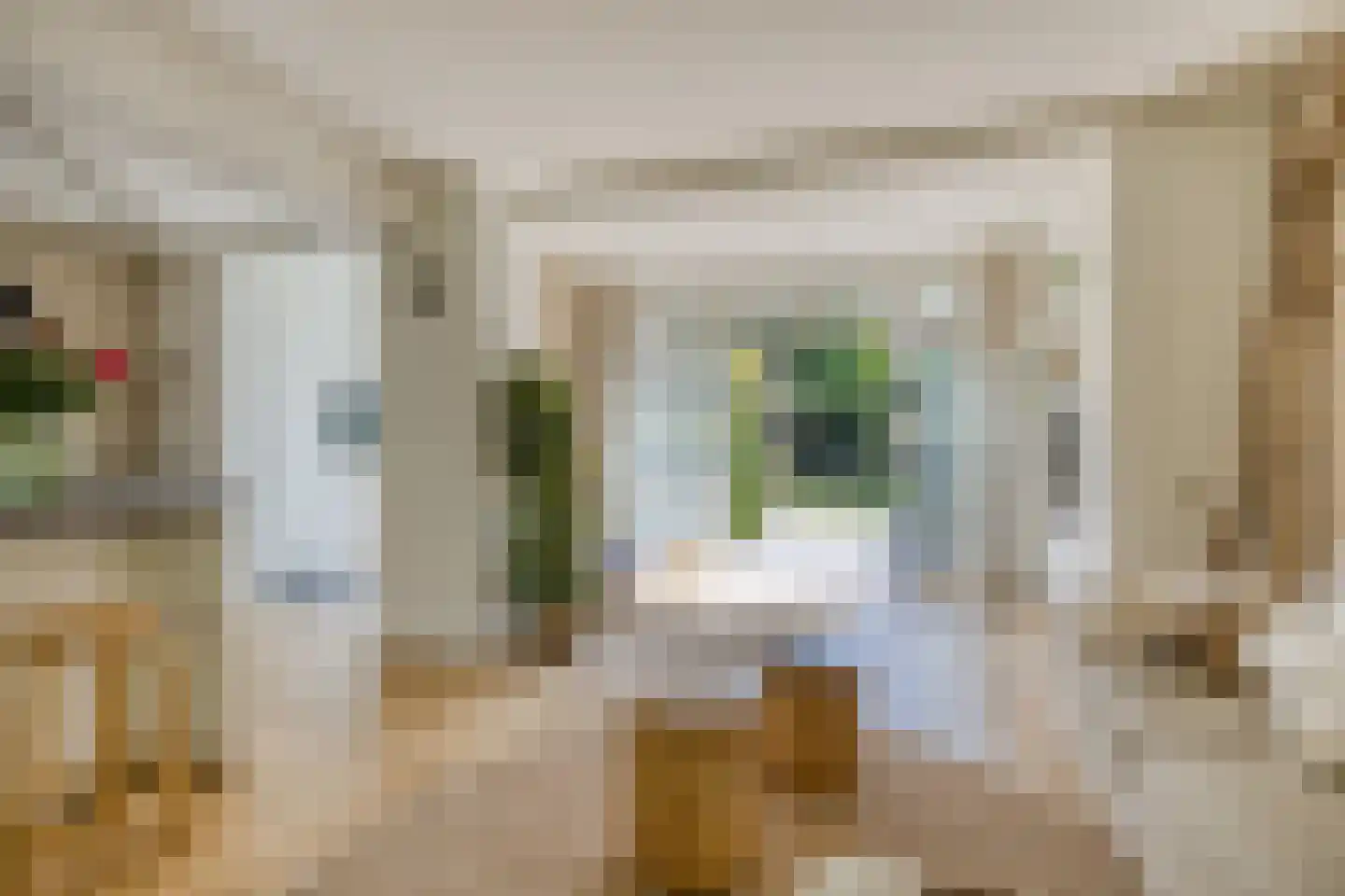 Meidoornlaan 15 Castricum thumbnail 11