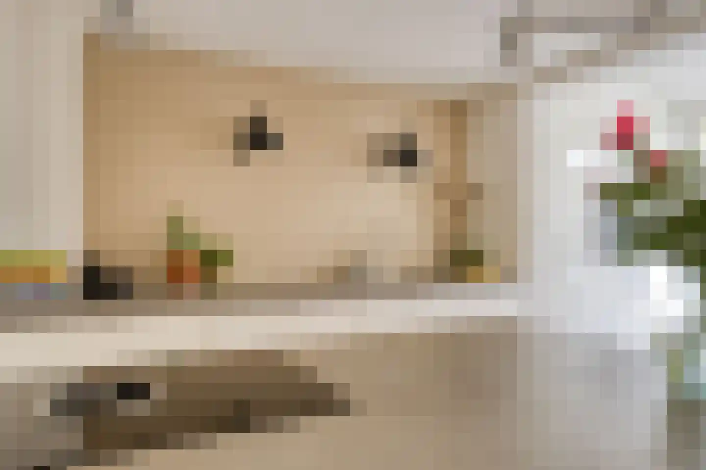 Meidoornlaan 15 Castricum thumbnail 13