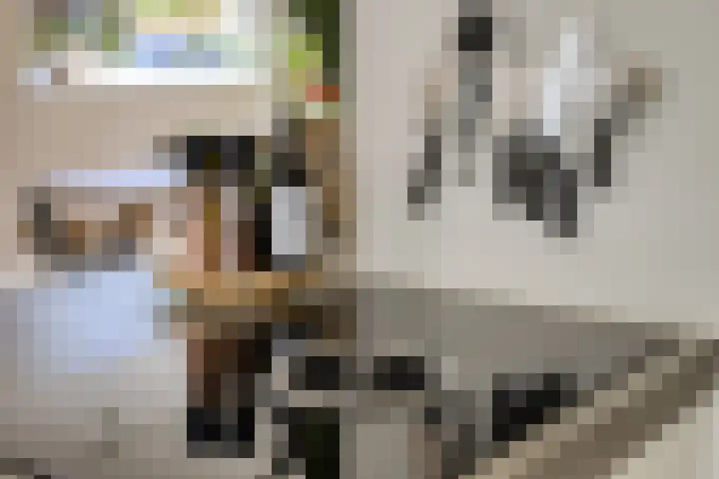 Meidoornlaan 15 Castricum thumbnail 14
