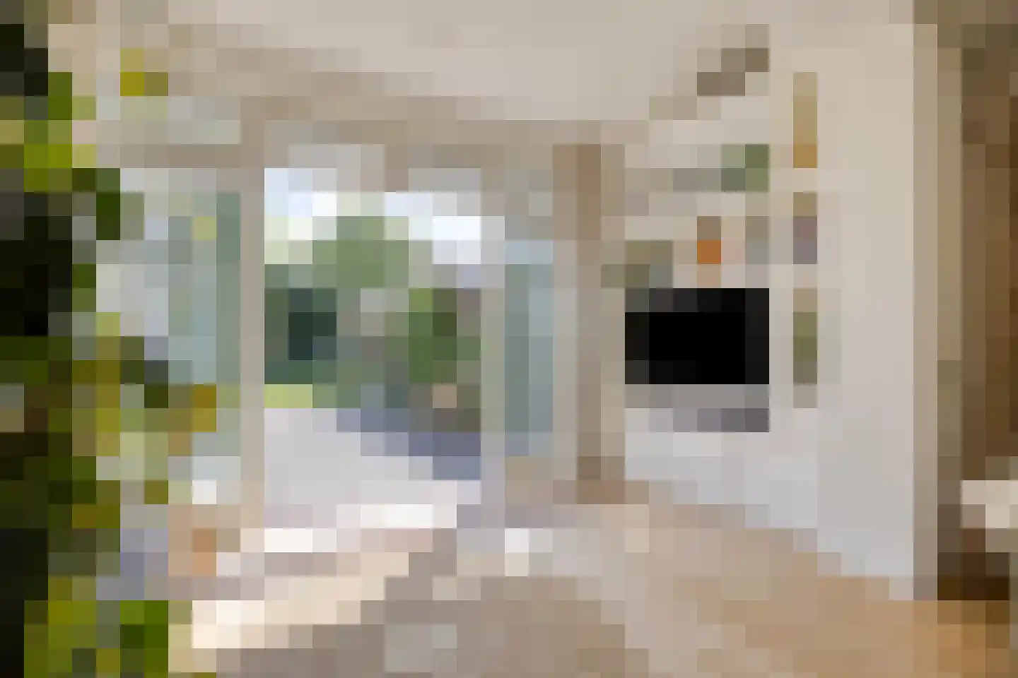 Meidoornlaan 15 Castricum thumbnail 18