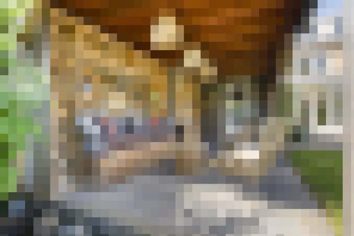 Meidoornlaan 15 Castricum thumbnail 25