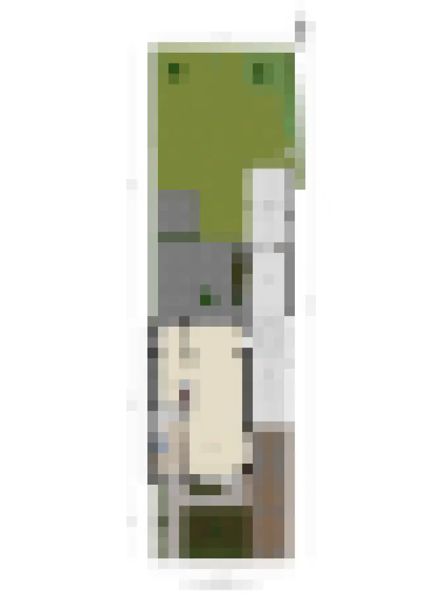 Meidoornlaan 15 Castricum thumbnail 29