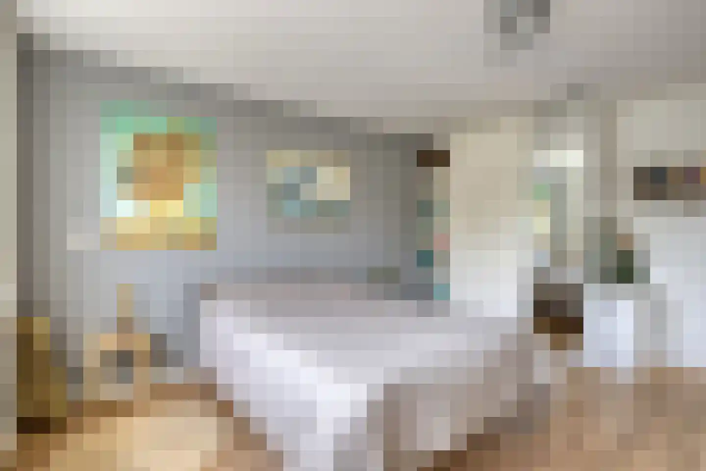 Meidoornlaan 15 Castricum thumbnail 32