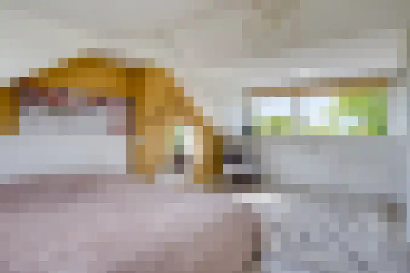 Meidoornlaan 15 Castricum thumbnail 42