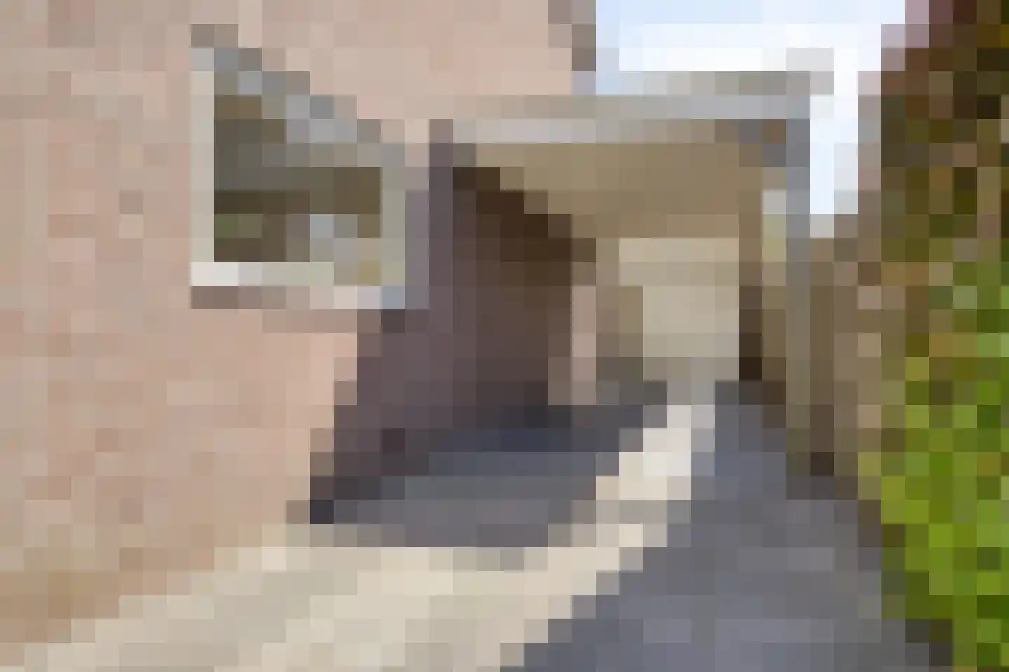 Meidoornlaan 15 Castricum thumbnail 46