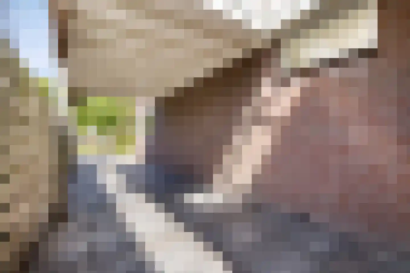 Meidoornlaan 15 Castricum thumbnail 47
