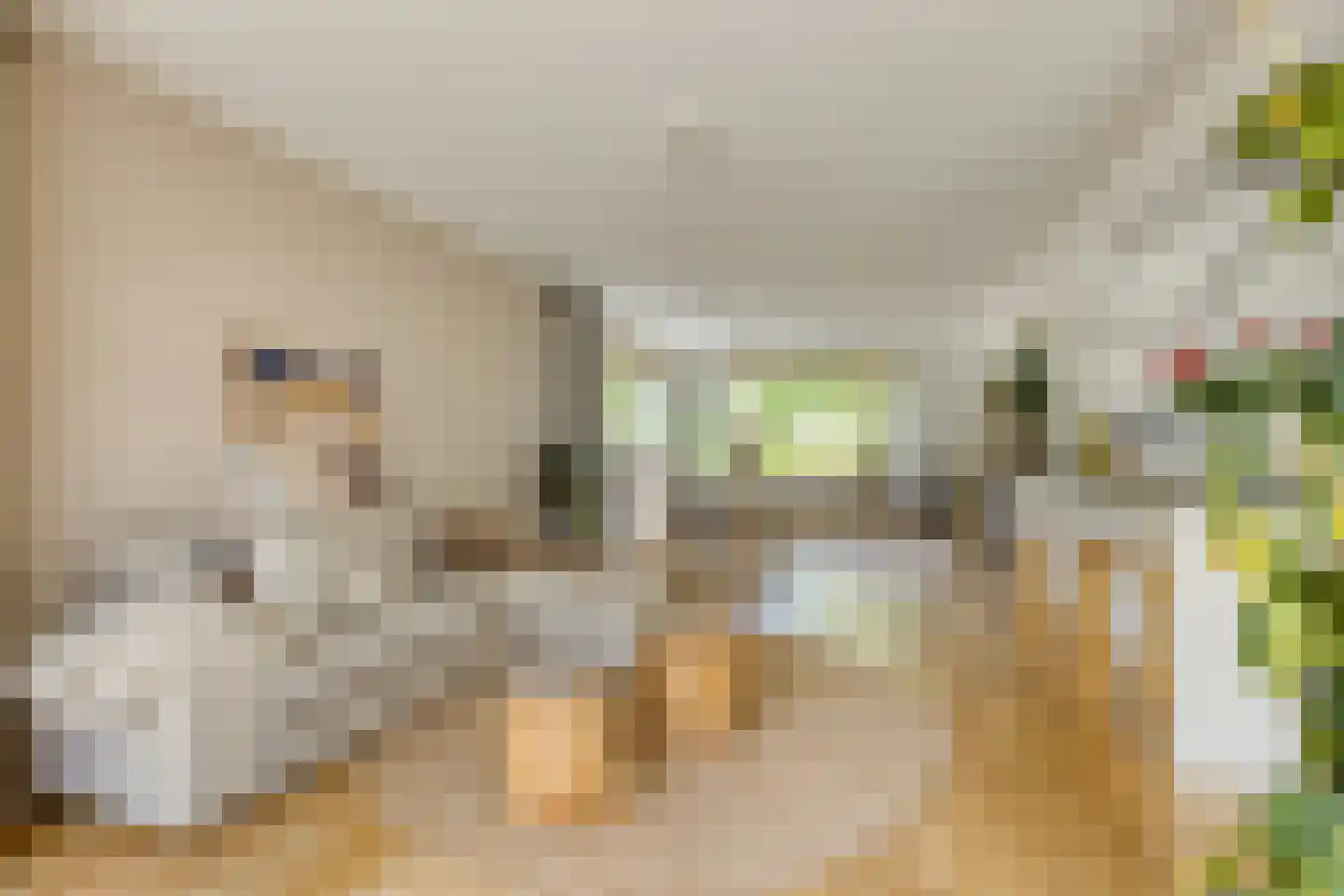 Meidoornlaan 15 Castricum thumbnail 9
